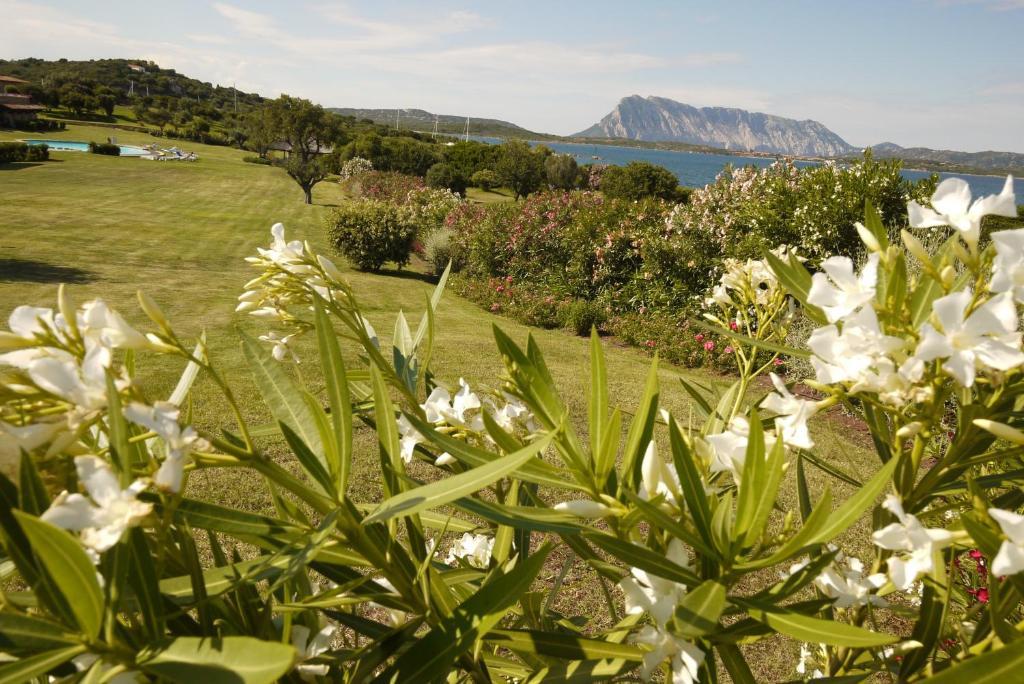 Due Lune Puntaldia Resort&Golf San Teodoro  Esterno foto